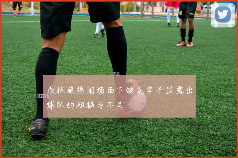 森林狼热闹场面下缺乏华子显露出球队的粗糙与不足
