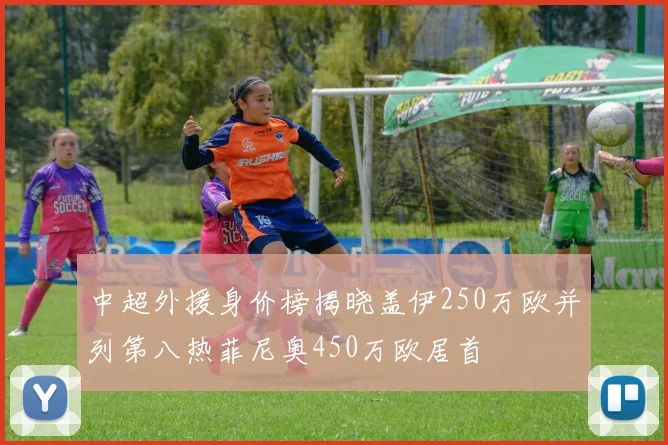 中超外援身价榜揭晓盖伊250万欧并列第八热菲尼奥450万欧居首