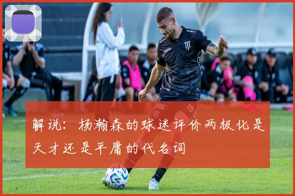 解说：杨瀚森的球迷评价两极化是天才还是平庸的代名词