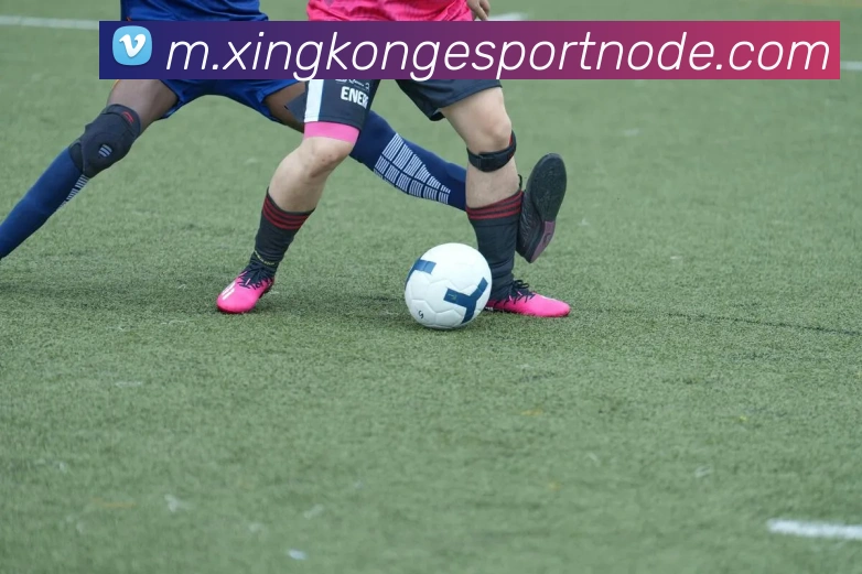 星空电竞平台生态图